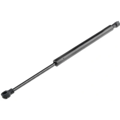 Afbeelding van Gasveer, motorkap NTY AE AR 007