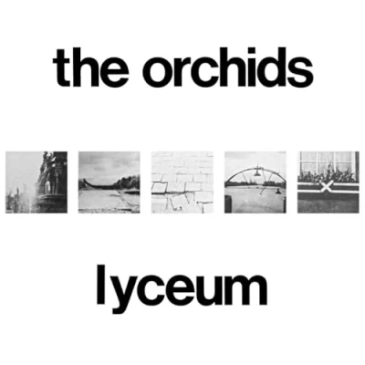 Afbeelding van Orchids Lyceum (CD)