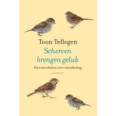 Afbeelding van Scherven brengen geluk (Hardback)