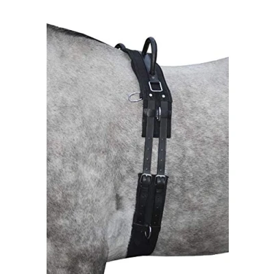 Afbeelding van HKM Longeersingel Canvas met Dubbele Handgreep Zwart Pony