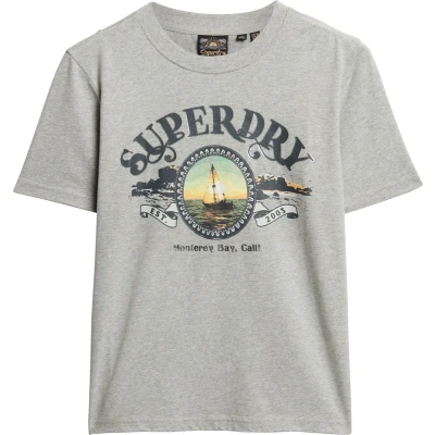 Afbeelding van Superdry Travel Souvenir Tshirt print, Dames, Maat: 40, Pumice stone beige marl