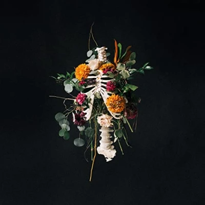 Afbeelding van Elevation Worship Graves Into Gardens (CD)