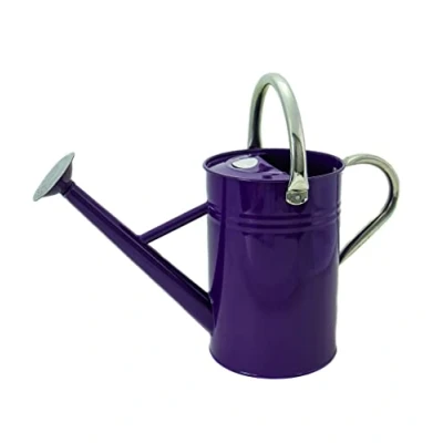 Afbeelding van 4,5 liter vintage emmers per paar gegalvaniseerd stalen kan voor dagelijks gebruik in klassieke Engelse stijl met 2 handgrepen