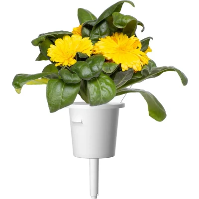 Afbeelding van Click &amp; Grow Calendula / 3 pack