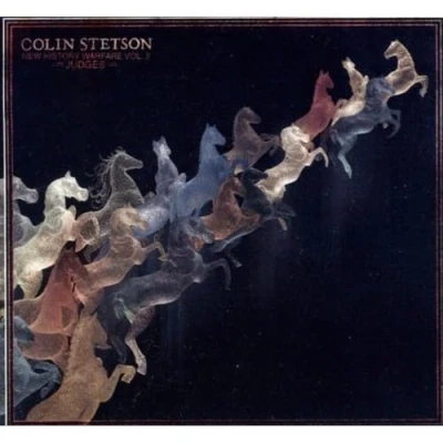 Afbeelding van Colin Stetson New History Warfare Vol. 2: Judges (CD)