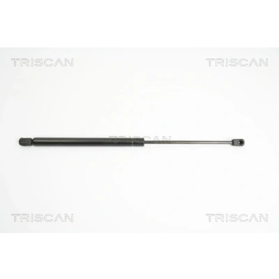 Afbeelding van Triscan Gasveer 8710 24230