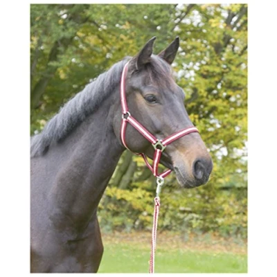 Afbeelding van Covalliero Nylonhalster Hippo Bordeaux/Beige Cob