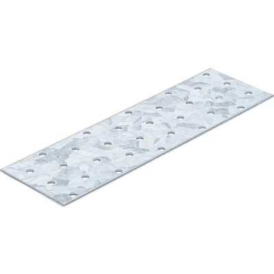 Afbeelding van BGS Gaatjesstrip staal 200 x 60 2 mm