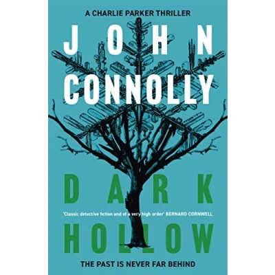 Afbeelding van Dark Hollow: Private Investigator Charlie Parker hunts evil in the second novel globally bestselling series