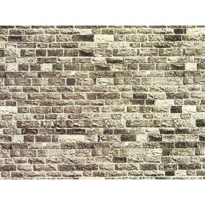 Afbeelding van NOCH 57530 H0, TT Muurplaat (l x b) 320 mm 150 Kunststof model