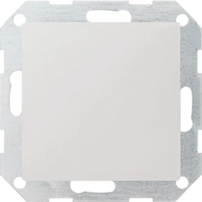 Afbeelding van Gira blindplaat zuiver wit glanzend 026803