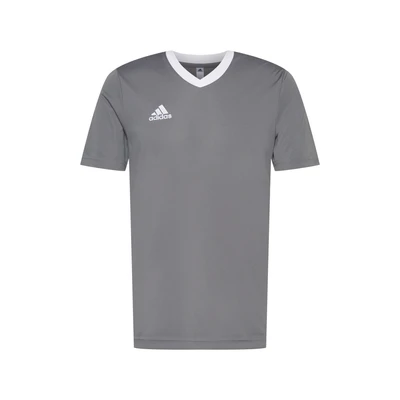 Afbeelding van adidas Performance Entrada 22 Sport Tshirt, Heren, Maat: Small, Team grey four