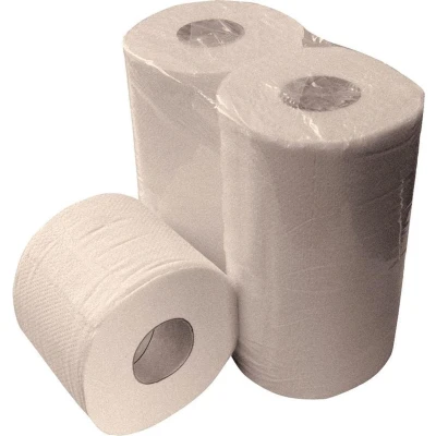 Afbeelding van Toiletpapier recycled 2 laags 400 vel (4 rol)