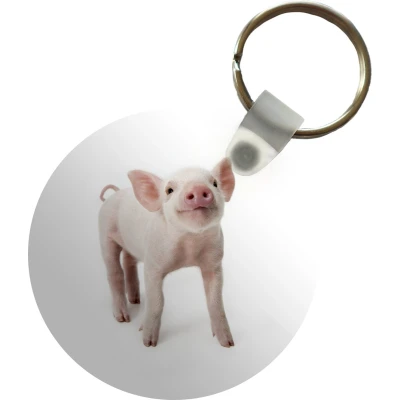 Afbeelding van Sleutelhanger Varken Dieren Wit Plastic Rond Uitdeelcadeautjes