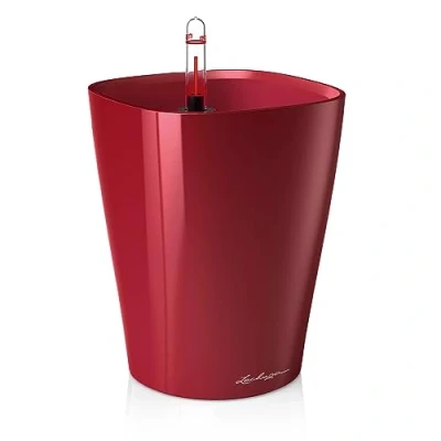 Afbeelding van Lechuza Deltini Scharlakenrood hoogglans