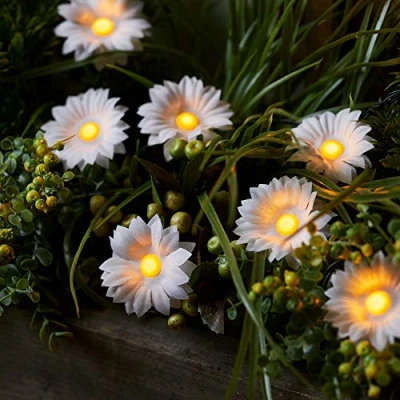 Afbeelding van Lights4fun 12 delige led zonnelamp, madeliefjes, zonne energie, warmwit, moederdagcadeau