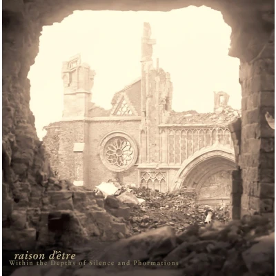 Afbeelding van Raison D&#039;Être Within The Depths Of Silence And Phormations (LP)