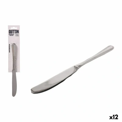 Afbeelding van Messen Set Quttin Antártica Zilverkleurig Roestvrij staal 21,6 x 1,8 cm 2 Onderdelen (12 Stuks)