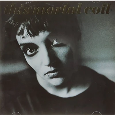 Afbeelding van This Mortal Coil: Blood [CD]