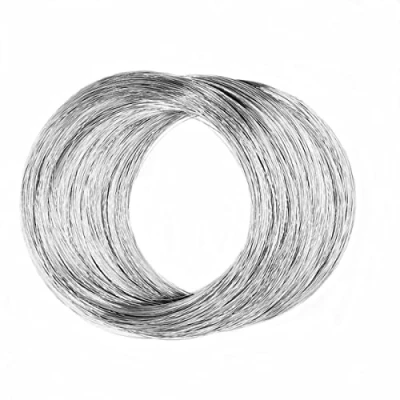 Afbeelding van 0.15Mm 304 Roestvrij Staaldraad 32Ft Voor Diy Handleiding Kunst en Ambachten Draad Bailing Sculpting Artistieke Sieraden Maken Touw Bonsai Training Tuin