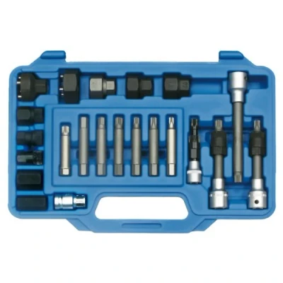 Afbeelding van SW Stahl 301030L Montagegereedschap, wielnaaf / wiellager 25 Kunststof koffer