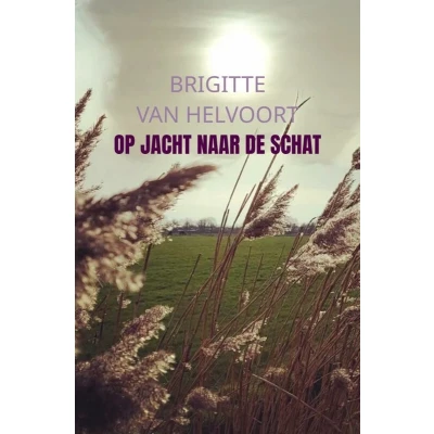 Afbeelding van Op jacht naar de schat