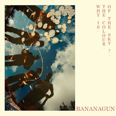 Afbeelding van Bananagun Why is The Colour of Sky? (VINYL LP)