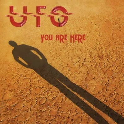 Afbeelding van UFO You Are Here (LP)