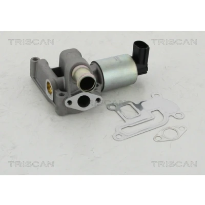 Afbeelding van Triscan EGR klep 8813 24003