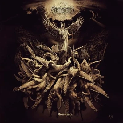 Afbeelding van Permutation Transience (LP)