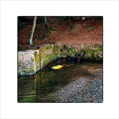 Afbeelding van Franck Vigroux Totem (CD)