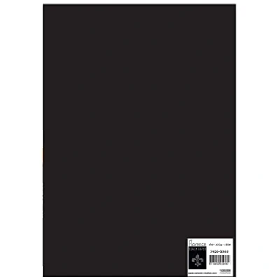 Afbeelding van Florence 2920 0202 Fotokarton DIN A4, zwart, 300 g/m², 100 stuks, knutselpapier voor knutselen, scrapbooking, handlettering, doe het zelf handwerk