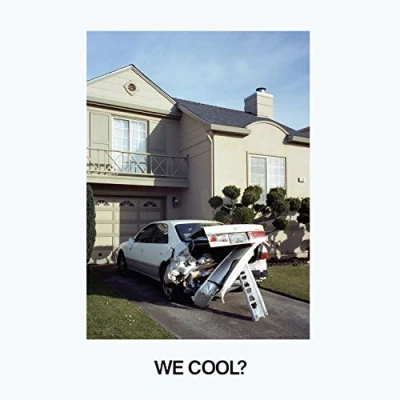 Afbeelding van Jeff Rosenstock We Cool (LP)