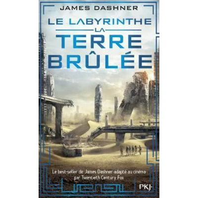 Afbeelding van Le labyrinthe Tome 02 : La Terre brûlée (2)