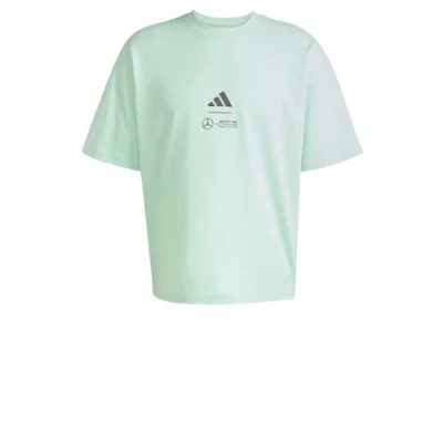 Afbeelding van adidas Originals Motorsport TEAM Mercedes AMG Petronas F1 Tshirt print Frozen green grey strata, Heren, Maat: Small, strata
