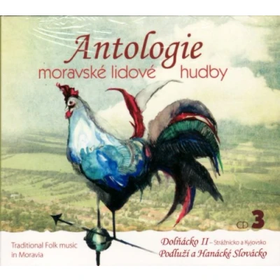 Afbeelding van Various Artists Traditional Folk Music In Moravia 3 (CD)