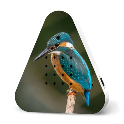 Afbeelding van Relaxound Lakesidebox Specials Beweginssensor Met Natuurgeluiden Rond Bosmeer Oplaadbaar Kingfisher IJsvogel 2,8x11x18cm Nice thingZ