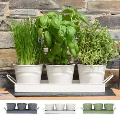 Afbeelding van CKB LTD Kruidenbak keuken Bloempot kruiden plantenbak Binnen Plantenpotjes Set van 3 Krijtwit Kweekbak Kruidenpot Verse
