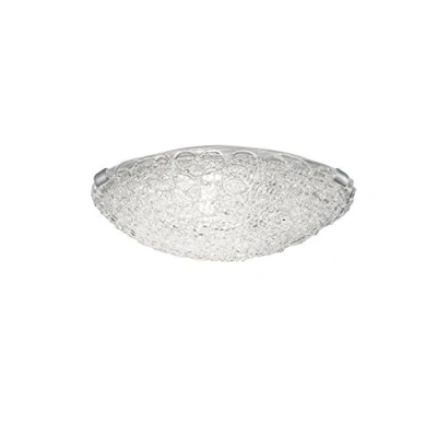 Afbeelding van Trio Leuchten 607800100 Plafondlamp, acryl, transparant, met houders van mat nikkel, 30 cm, E27, 60 W, 10 x 10,5 cm