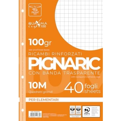 Afbeelding van Pigna 022223710, vervanging met versterkte tape, liniatuur 10, geruit 1 cm voor 1e klas, papier 100 g/m², verpakking van 40 vellen