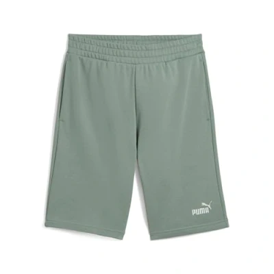 Afbeelding van PUMA ESS 2 COLOR No. 1 Logo Shorts 10&quot; TR Heren sportbroek Green Moon