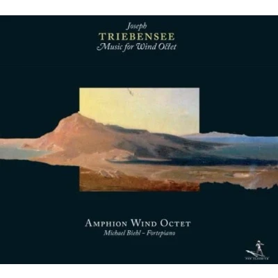 Afbeelding van Amphion Wind Ensemble Music For Ens. &amp; Fortepiano (CD)