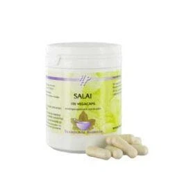 Afbeelding van Holisan Salai, 100 capsules