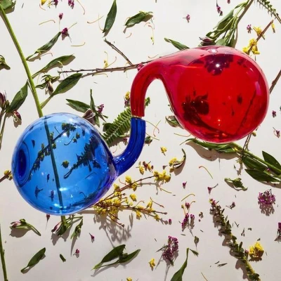 Afbeelding van Dirty Projectors Lamp Lit Prose (LP)
