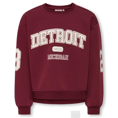 Afbeelding van ONLY KOGVICTORY LIFE L/S O NECK SWT Meisjes Trui Cabernet Detroit/Cloud Dancer