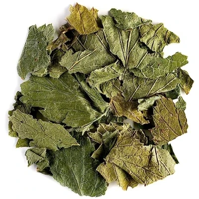Afbeelding van Zwarte Bessen Bio Bladeren Thee Bes Blad Ribes Nigrum