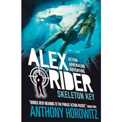 Afbeelding van Skeleton Key (Alex Rider)