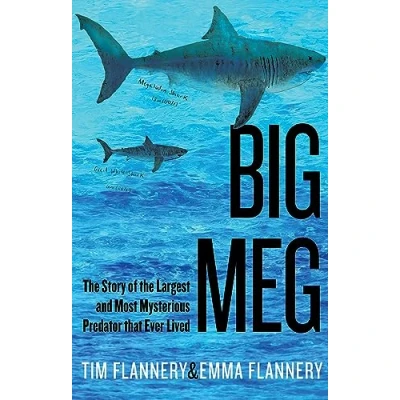 Afbeelding van Big Meg: the Story of Largest and Most Mysterious Predator That Ever Lived