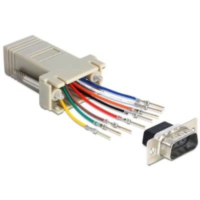Afbeelding van Delock Adapter Sub D 9 Pin mannelijk &gt; RJ45 vrouwelijk montageset De