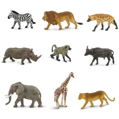 Afbeelding van Safari 100409 Zuid Afrika Toob
